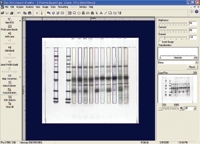 Doc-It®LS Analysis Software