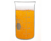 DWK Life Sciences Kimax&#174; Tall Form Berzelius Beakers without Spout