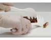 Sample Cutter