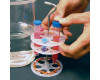 Height Adjustable Tube Rack