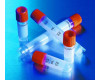 Corning&#174; Disposable Cryogenic Vials with External Threads