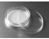 Corning® Transwell® Permeable Supports