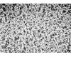 Osmonics MicronSep™ Mixed Esters of Cellulose