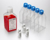 Tissue Culture Coatings