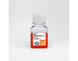 Cell Culture Media