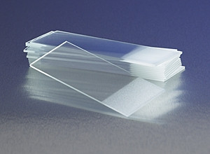 Corning® Microscope Slides, Frosted One Side, One End