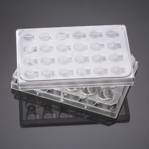 Corning® BioCoat™ FluoroBlok™ Invasion System