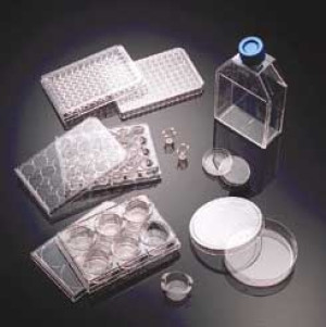 Corning® BioCoat™ Collagen IV Multiwell & Assay Plates