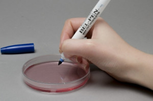 Belpen™ Markers