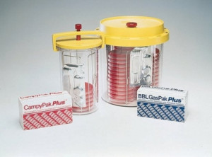 BD BBL™ GasPak™ Products and Accessories