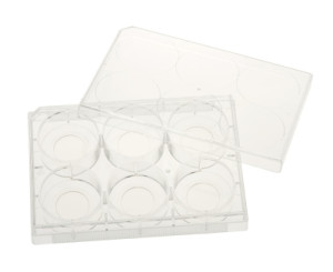 Celltreat® Glass Bottom Multiple Well Plates
