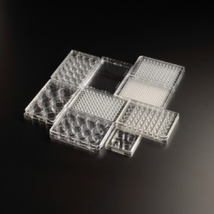 Celltreat® Multiple Well Plates, Tissue Culture Treated