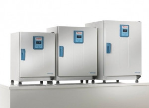 Heratherm™ General Protocol Microbiological Incubators