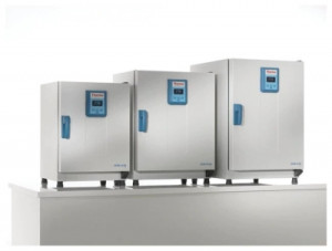 Heratherm™ General Protocol Ovens