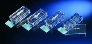 Nunc™ Lab-Tek™ II CC2™ Chamber Slide System