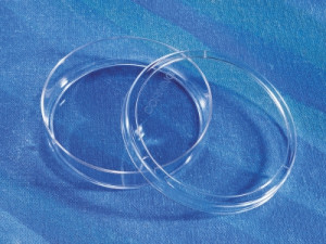 1-Corning® Cell Culture Dishes, a Krackeler Value Brand