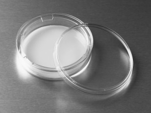 Corning® Transwell® Permeable Supports