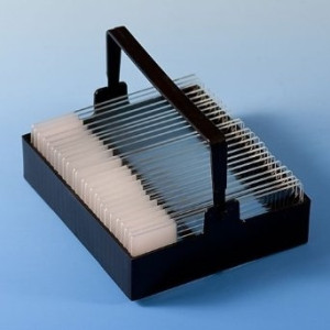 Globe Scientific Slide Staining Racks