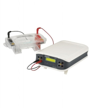 Enduro™ Horizontal Gel System Accessories