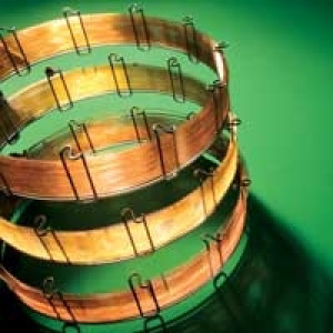 Restek Rxi™-5ms Fused Silica GC Columns