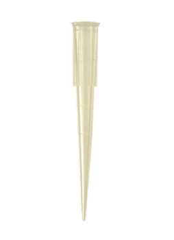 Axygen® Bevelled Reference 200µL Pipet Tips, Yellow