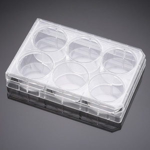 Corning® BioCoat™ Collagen I Multiwell & Assay Plates