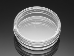 Corning® BioCoat™ Laminin Culture Dishes