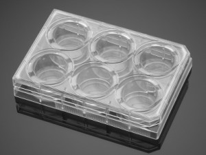 Corning® BioCoat™ Gelatin Multiwell & Assay Plates