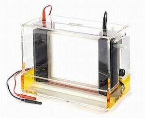 Owl™ P10DS Dual-Gel Vertical Electrophoresis System