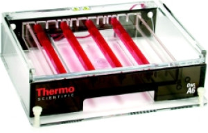 Owl™ A6 Wide Gel Horizontal Electrophoresis System
