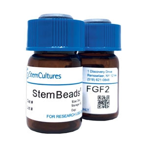 StemBeads® FGF2
