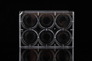Nest Glass Bottom Culture Plates