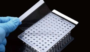 Nest PCR Sealing Film
